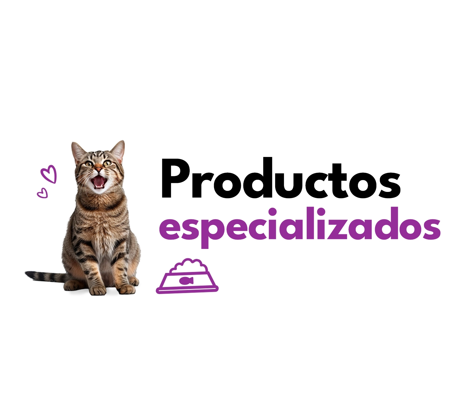 Banner Mobile